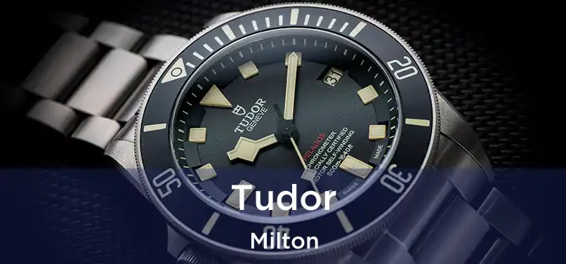  Tudor Milton